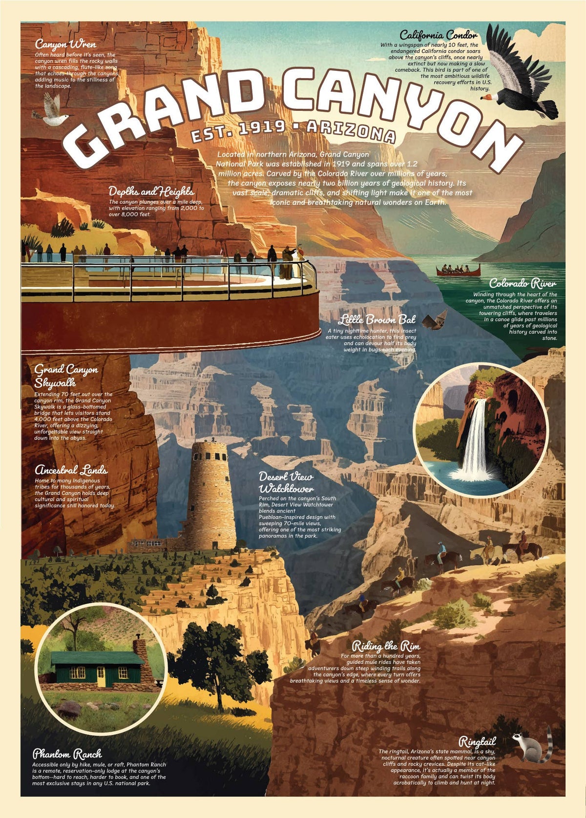 Grand Canyon Puzzle