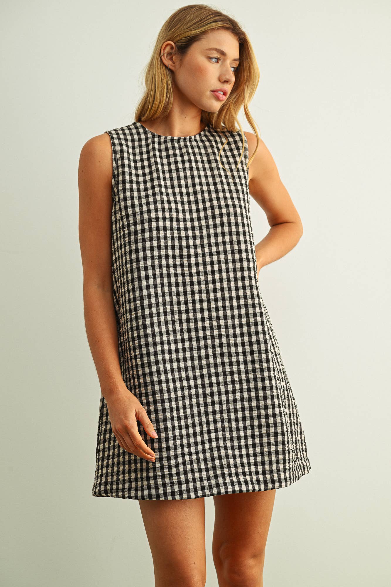Gingham Swing Dress
