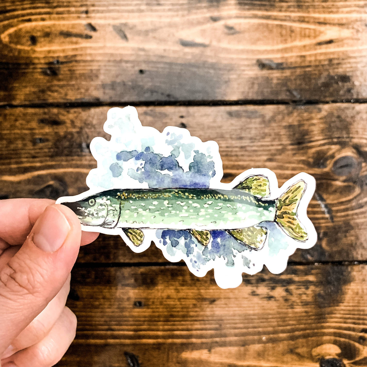 Northern Pike Fish Vinyl Sticker