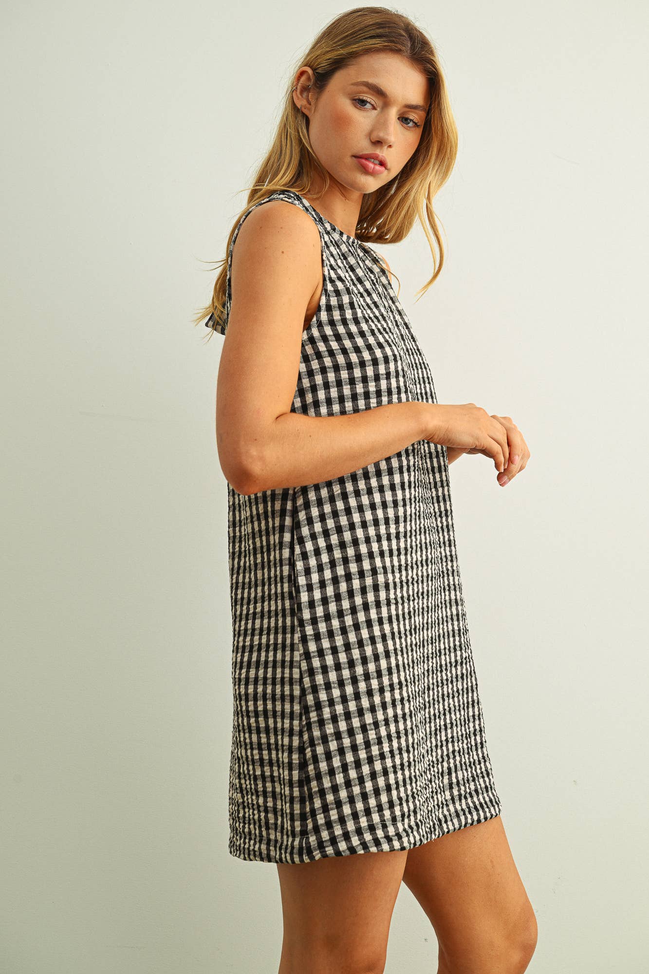 Gingham Swing Dress